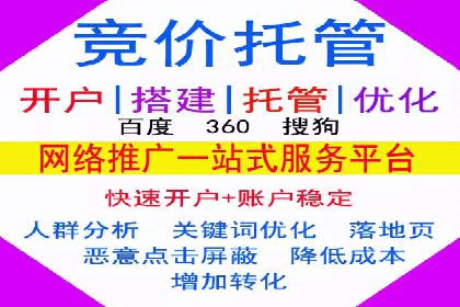 竞价SEM托管案例：精准营销的利器